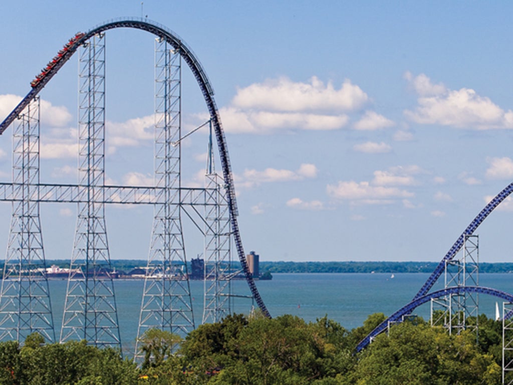 Girl hit in the head by bird while on roller coaster The